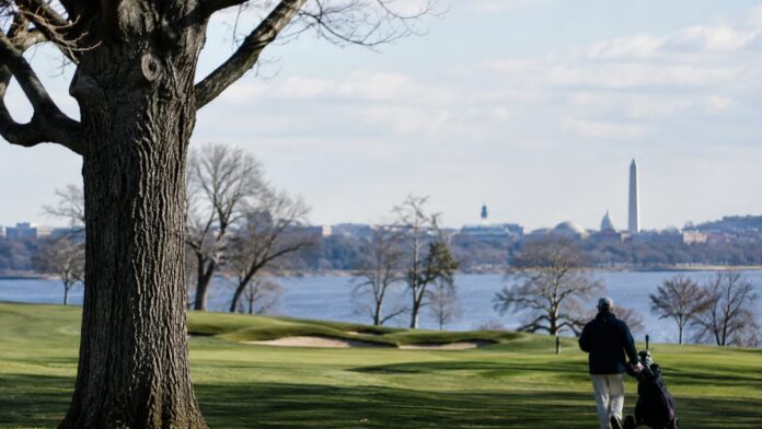 AI-generated illustration: Judge Freezes Trump's DC Golf Course Plan: 'I Am Not the Lorax'